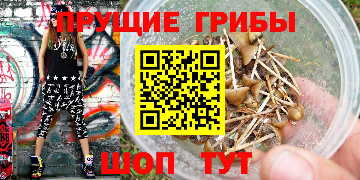 Галлюциногенные грибы Cubensis Джанкой